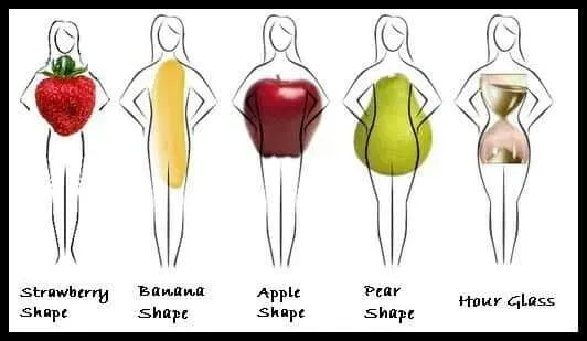 FruitBodyShapes