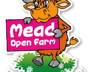Creating Cherished Memories: A Personal Reflection of a family day out at the Farm
