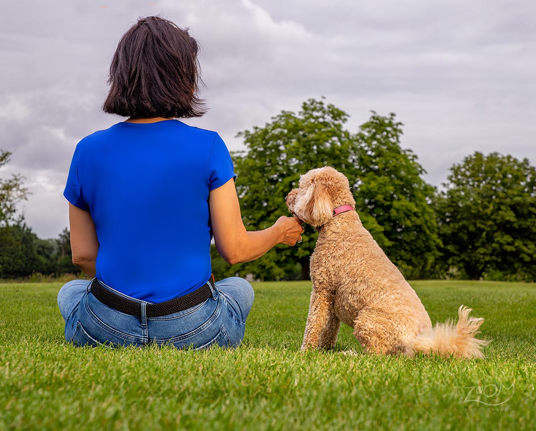 Pet Photography